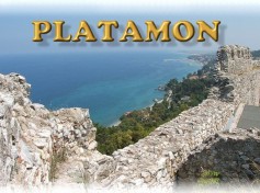 1aplatamon_800