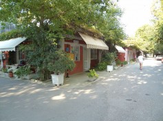2DSC01358