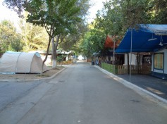 DSC01370