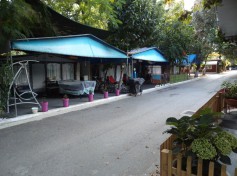 DSC01374