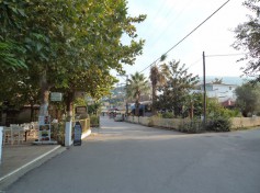 DSC01409