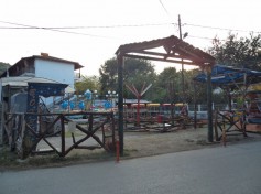 DSC01429