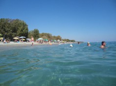 DSC02083