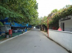 DSC01398