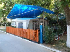 DSC01972