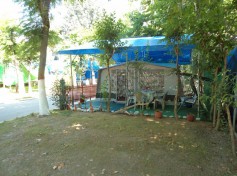 DSC01974