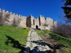 platamon3_800
