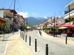 Lepto2