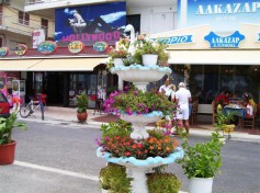 Lepto8