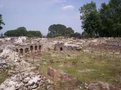 dion_5_1800